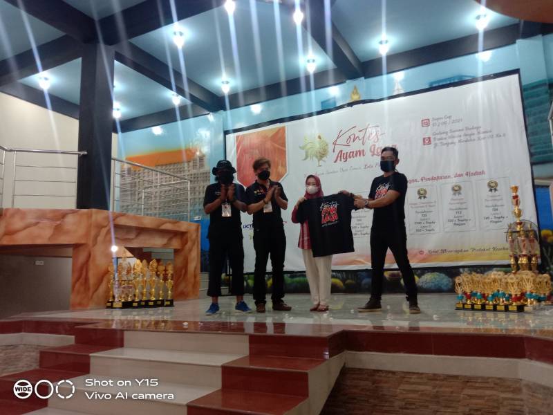 Kontes Ayam Laga Sulsel 2021, Didorong Masuk Kalender Even Kota Makassar