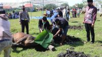 1626774708795_IMG-20210720-WA0018 Tahun Ini Polres Jeneponto Berkurban 50 Ekor Sapi