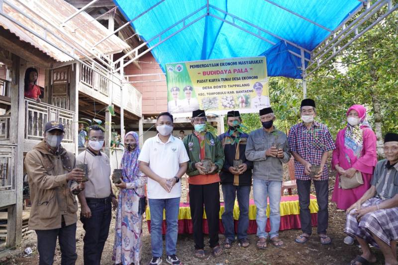 Bupati Bantaeng Apresiasi Program Padat Karya Budidaya Pala Bonto Tappalang
