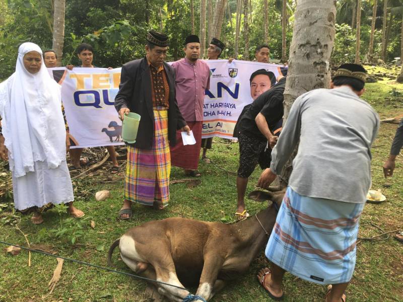 Muhammad Rapsel Ali Kurban 19 Ekor Sapi di Dapilnya