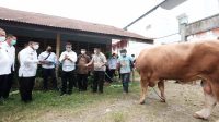 IMG-20210721-WA0074 Mentan RI Serahkan Sapi Kurban ke Pengurus Masjid Agung Syekh Yusuf Gowa