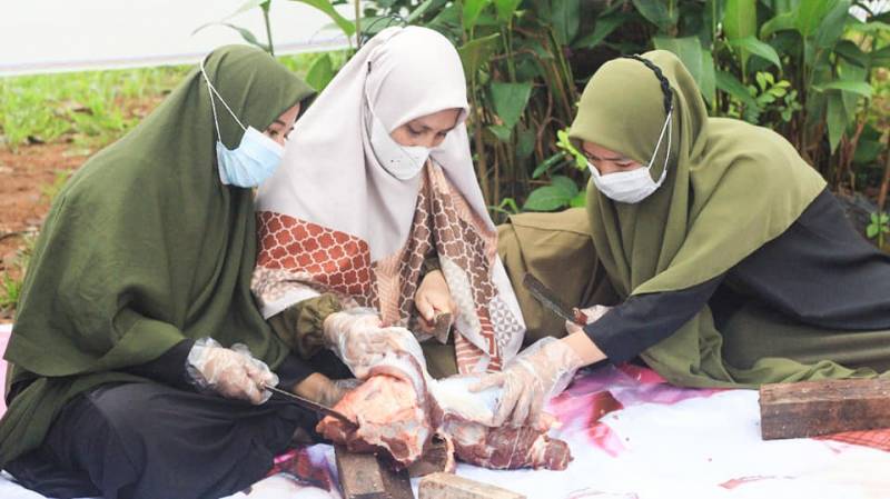 Spidi Kemas Khusus Daging Kurban, Paketnya Istimewa