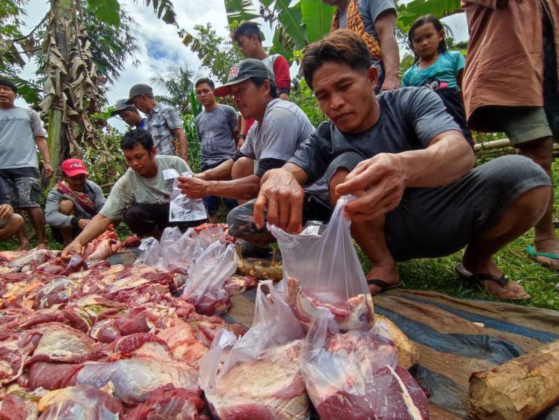 Daerah di Tana Toraja Ini, Jauh di Atas Bukit, Sekian Lama tak Nikmati Daging Kurban