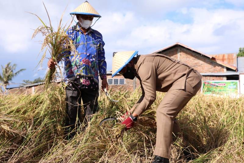KTNA Sulsel: Ilham Azikin Adalah Bupati yang Peduli dengan Petani
