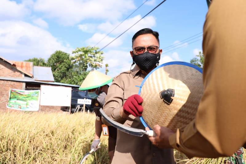 KTNA Sulsel: Ilham Azikin Adalah Bupati yang Peduli dengan Petani