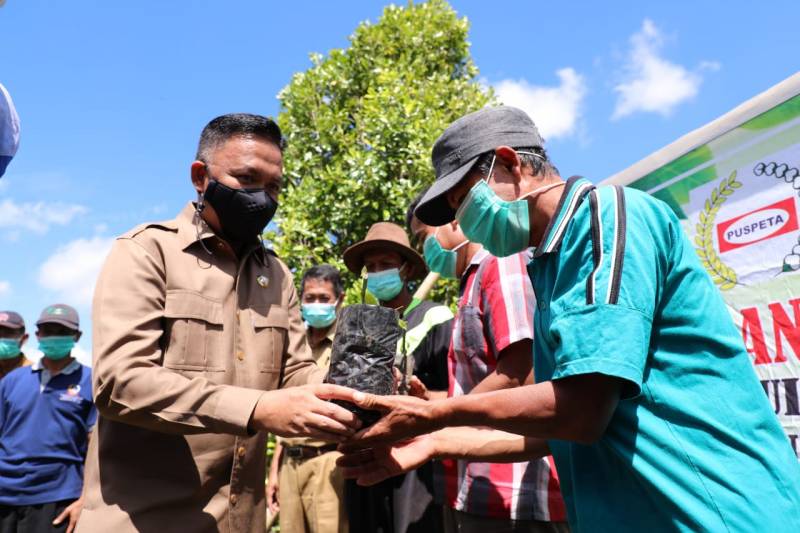 Pemkab Bantaeng Dorong Gantarangkeke Jadi Sentra Produksi Vanili