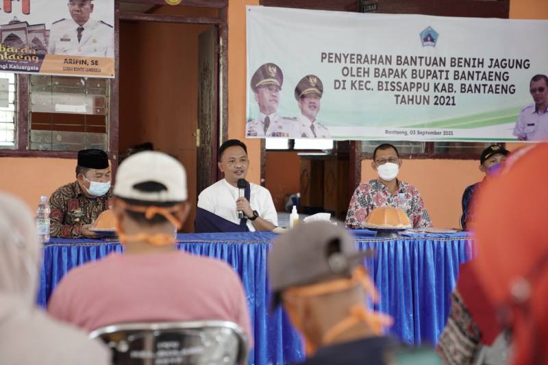 332 Poktan Dapat Bantuan Gratis Benih Jagung Berkualitas 19 Ton, Ditanam di Luas Lahan 6.300 Hektare  