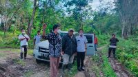 IMG-20211019-WA0011 PTPN XIV Unit Kebun Awaya Telpaputih Rencana Ganti Komoditi