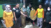 DPKP Parepare Serahkan Bantuan Hewan Ternak Ke Kelompok Tani