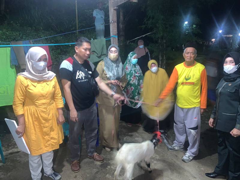 DPKP Parepare Serahkan Bantuan Hewan Ternak Ke Kelompok Tani