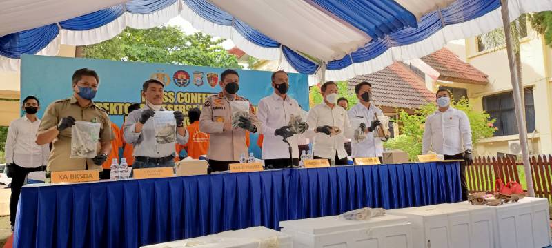91 Kg Daging Penyu Gagal Beredar di Rumah Makan