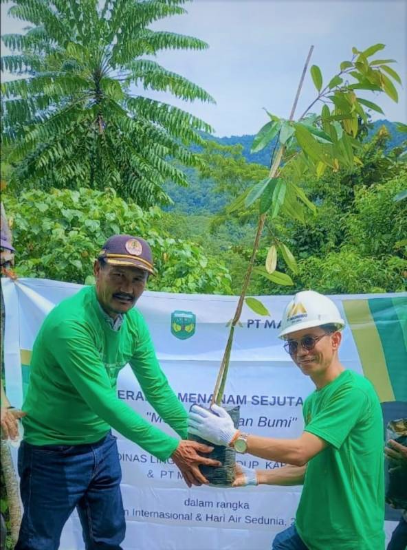Masmindo dan Dinas LH Luwu Canangkan Gerakan Sejuta Pohon