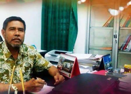 Pelantikan Andi Sudirman Ditentukan Kemendagri, Prof Armin: Pemerintahan tak Pincang Tanpa Wagub