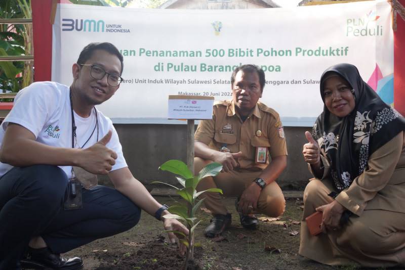 Wujudkan Lingkungan Hijau, PLN Tanam 500 Pohon Produktif di Pulau Barrang Lompo