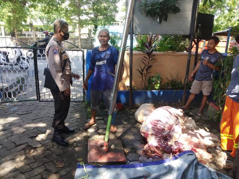 Bhabinkamtibmas Tamallabba Monitoring Penyembelihan Hewan Kurban