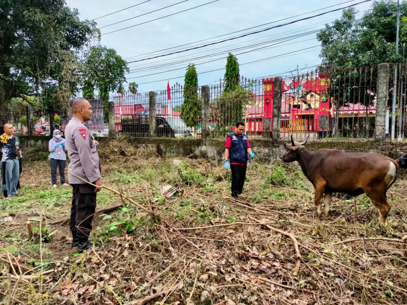 Jamin Syarat Sahnya Hewan Kurban, Brimob Bone Lakukan Ini