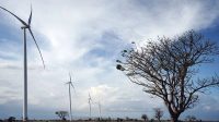 IMG-20220728-WA0058 Dukung EBT, PLN Siap Kembangkan Pembangkit Bayu 597 MW Hingga 2030