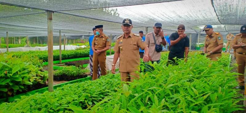 Wabup Tinjau Lokasi Pembibitan Gerakan Gowa Menanam Pohon