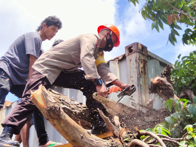 Respon Cepat Tim SAR Brimob Bone Evakuasi Kontainer Tertimpa Pohon