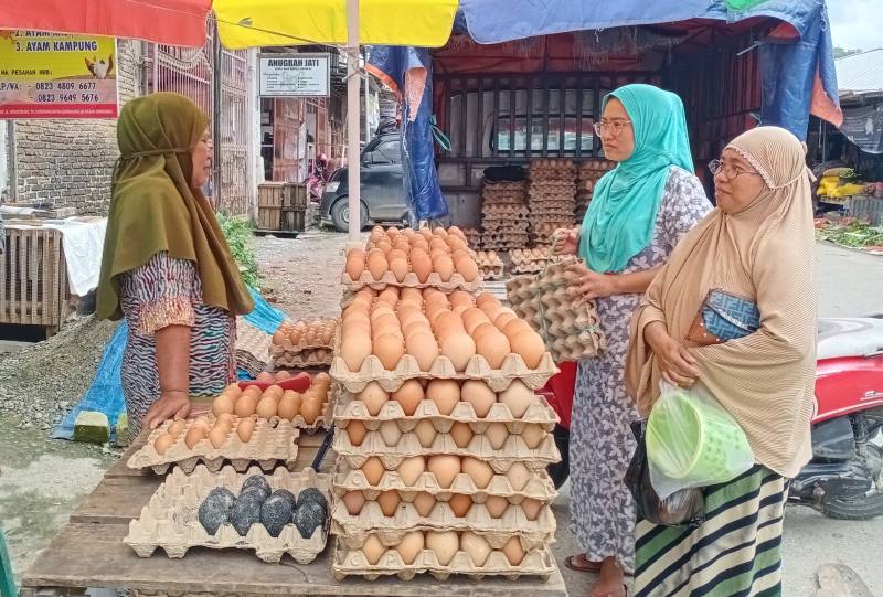 Harga Telur Tembus Rp70.000/Rak di Enrekang