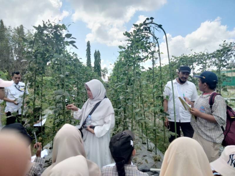 Spensix Gelar Outing Class di Lahan Pertanian
