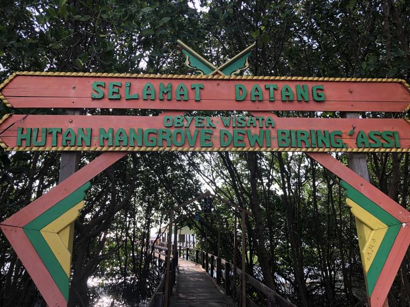 Beruntung Ada CSR Semen Tonasa, Dewi Mangrove Bisa Jadi Lanskap Panorama Sunset