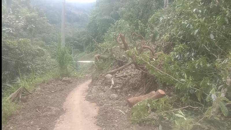 Tujuh Titik Longsor Tutup Akses Jalan di Desa Matajang