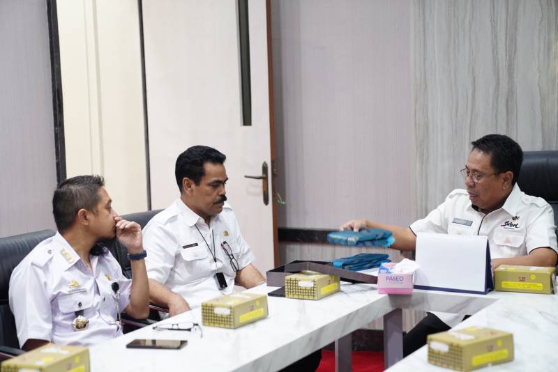 Pemprov Berupaya Kembalikan Kejayaan Sutera Sulsel