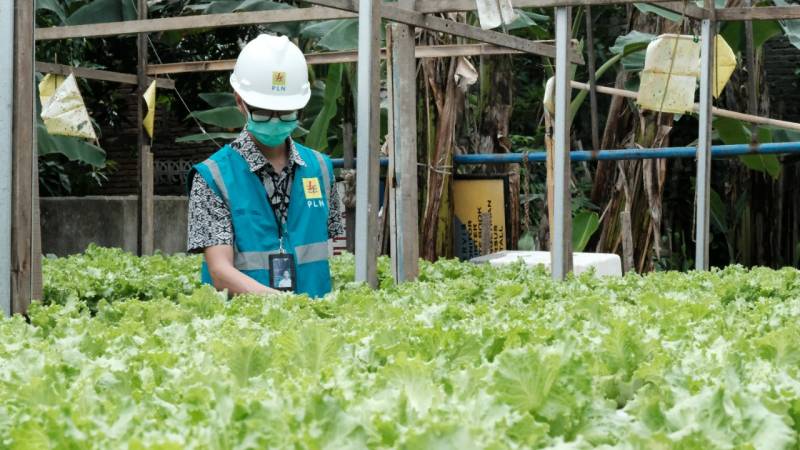 Kaleidoskop 2022, Ini Sederet Terobosan PLN UID Sulawesi Selatan, Sulawesi Tenggara dan Sulawesi Barat