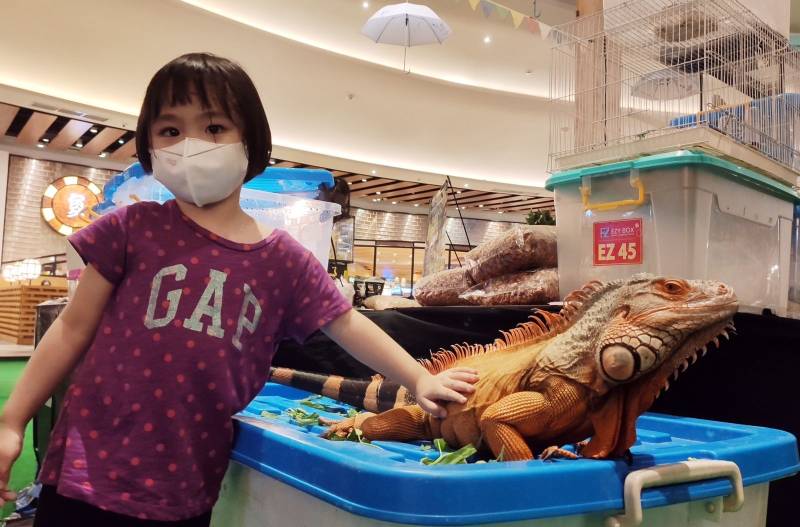 Pameran Bunny ‘n Friends di TSM Makassar, Kelinci Seharga Rp12 Juta