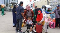 Gambar WhatsApp 2023-04-05 pukul 12.51.27 Pelindo Group Siapkan Mudik Gratis Makassar-Palopo & Makassar-Bulukumba, Ini Link Pendaftarannya