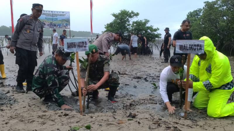 Ribuan Mangrove Ditanam di Pantao Labombo Wara Timur Palopo