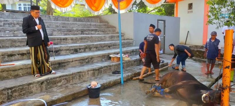 UNM Qurban Puluhan Ekor Sapi, Prof Husain Syam Ajak Civitas akademika Maknai Hari Raya Idul Adha