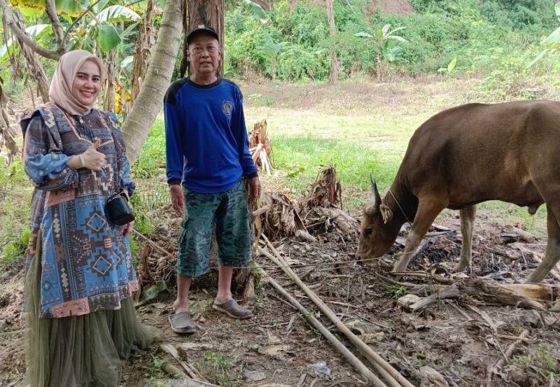 Keluarga Hj Fairin Kurban 20 Ekor Sapi
