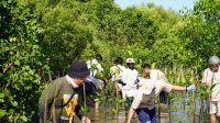 IMG-20230703-WA0000 Aksi Peduli Lingkungan, PLN Tanam 1000 Pohon Mangrove di Pesisir Makassar