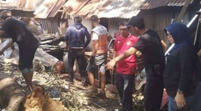 Pohon Timpa Rumah Warga, Anggota DPRD Makassar Muchlis Misbah Langsung Koordinasi dengan DLH
