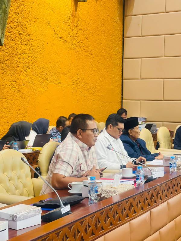 Rapat Kerja dengan Menteri PUPR, Abang Fauzi Sampaikan Kebutuhan Infrastruktur di Dapil Sulsel III