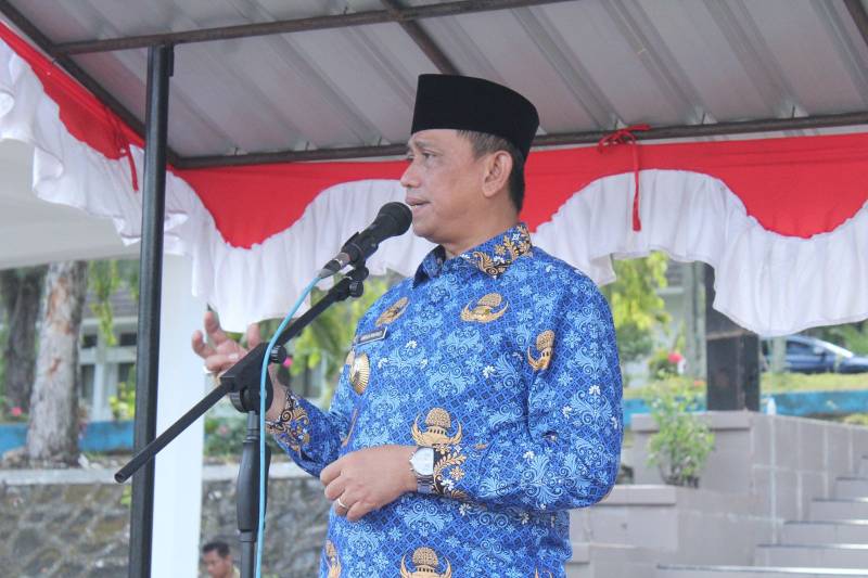Jadi Inspektur Upacara HKN, Ini Penekanan Bupati Wajo!