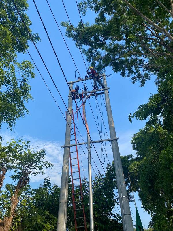 Antisipasi Musim Hujan, PLN Lakukan Langkah Preventif untuk Tingkatkan Keandalan Jaringan