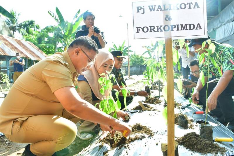 Kendalikan Inflasi dan Ketahanan Pangan, Pemkot Polopo Canangkan Gerakan Tanam Cabai kepada ASN