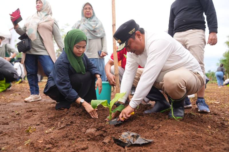 Pisang Cavendish Mulai Rambah Kampus