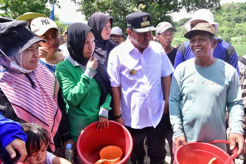Petani Sidrap Budidaya Pisang Cavendish dengan Cara Kreatif 