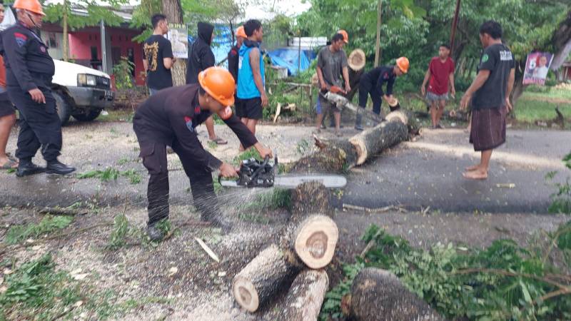 Gerak Cepat Tim SAR Brimob Bone Evakuasi Pohon Tumbang 