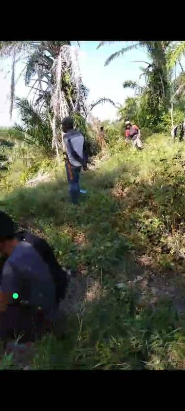 Soal Lahan PTPN di Keera, Begini Tanggapan Pemkab Wajo