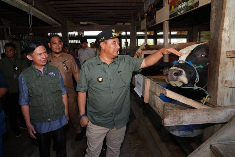 Pj Gubernur Serius Tingkatkan Produksi Ternak di Sidrap dan Barru