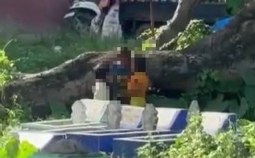 Beredar Video Dua Bocah Mesum di Area Pekuburan Pannampu