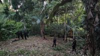 IMG-20240521-WA0109 Granat Diduga Bom Militer Ditemukan di Pemukiman Warga di Bone