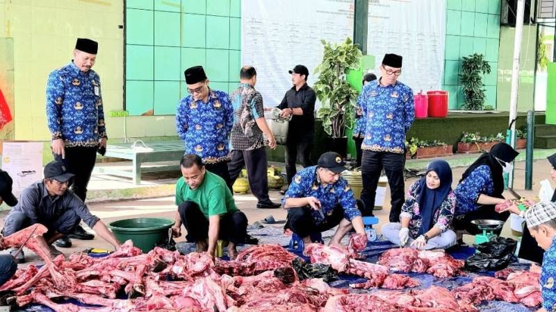 Kanwil Kemenag Sulsel Kurban 9 Ekor Sapi  
