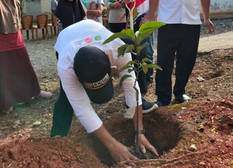 Camat Angkona Tanam Alpukat Aligator di Desa Tawakua