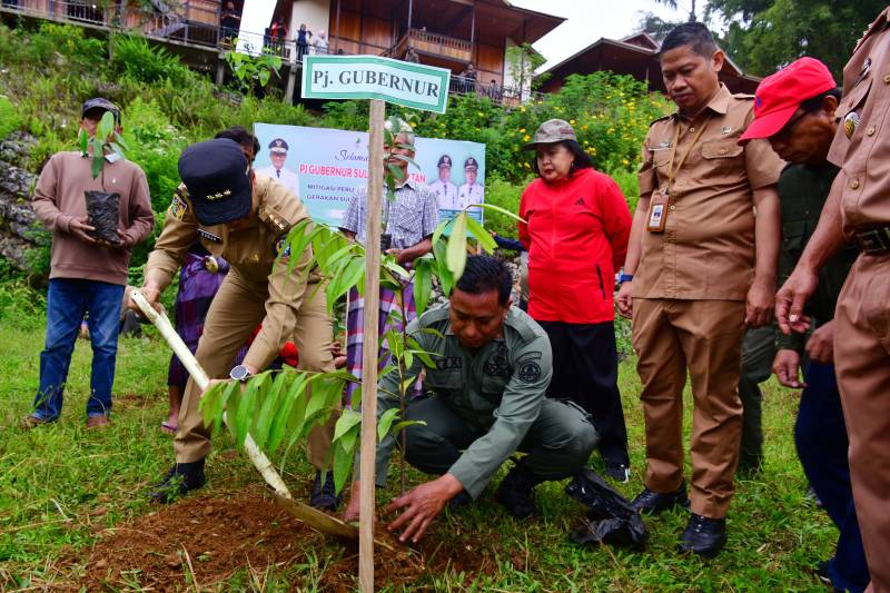 Di Negeri Atas Awan Lolai, Pj Gubernur dan Warga Tanam Berbagai Jenis Bibit Pohon sebagai Mitigasi Perubahan Iklim